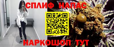 спиды Дубна