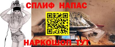 спиды Дубна